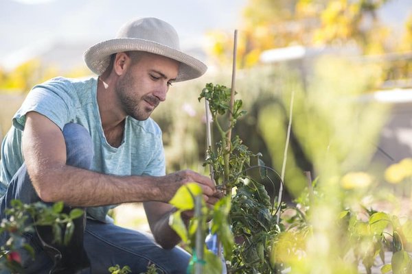 Montre chiffre arabes : la nouvelle mode qui va déchainer les passions en 2024 !