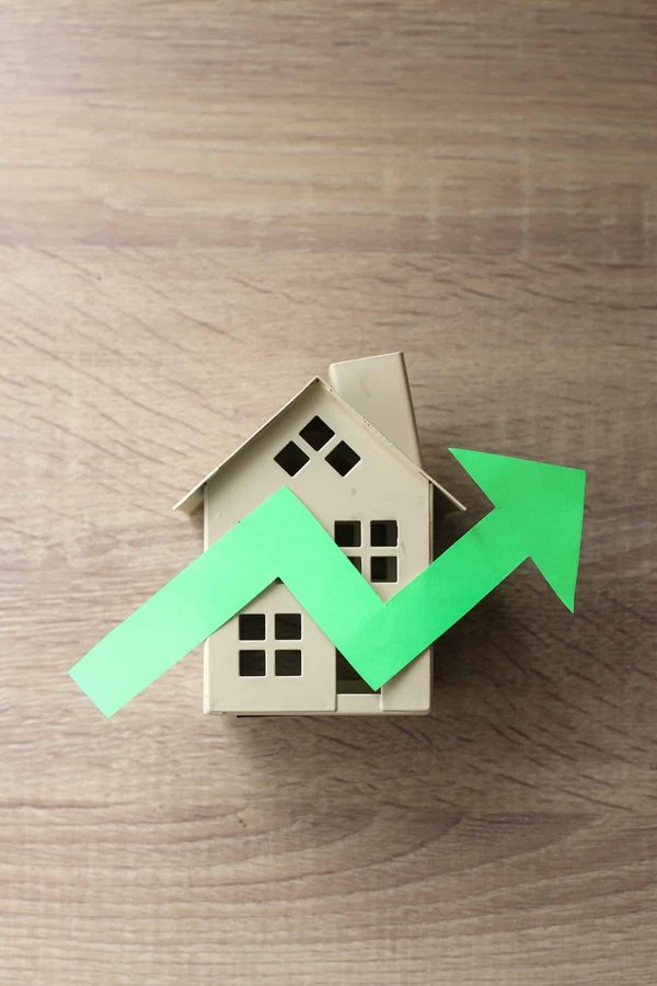 Quelles sont les tendances du marché de l'immobilier à Lyon pour l'année en cours ?